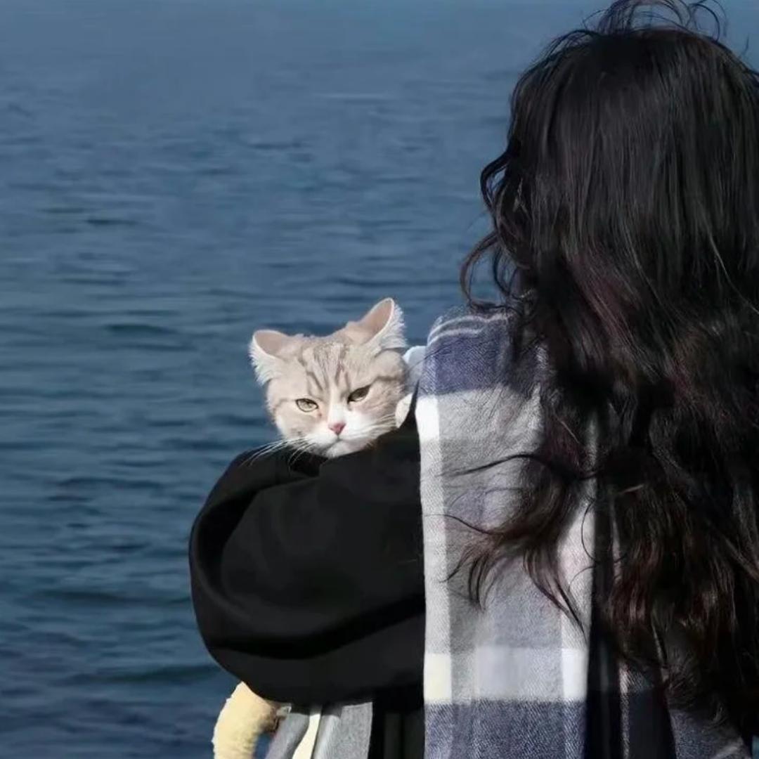 生活不易猫猫叹息🫧