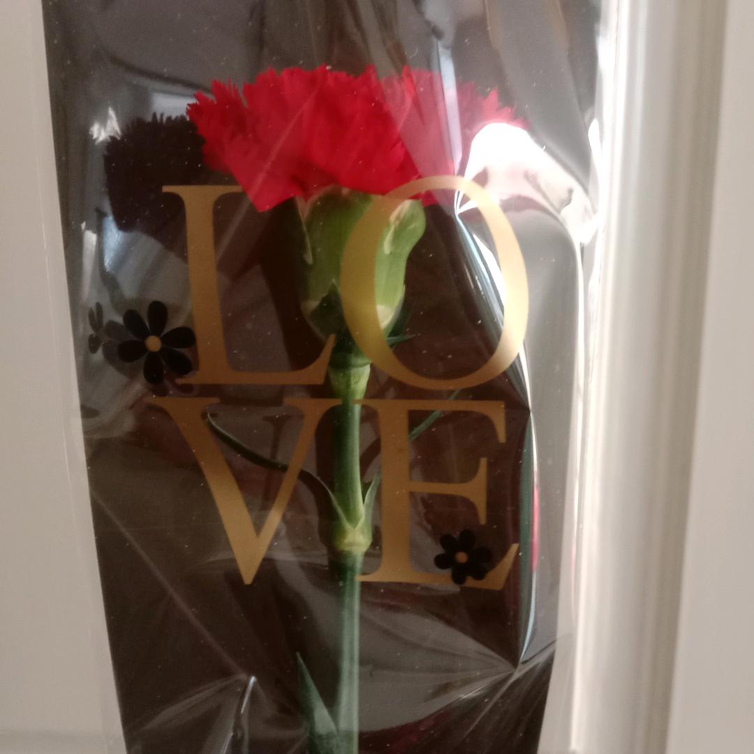 红玫瑰🌹