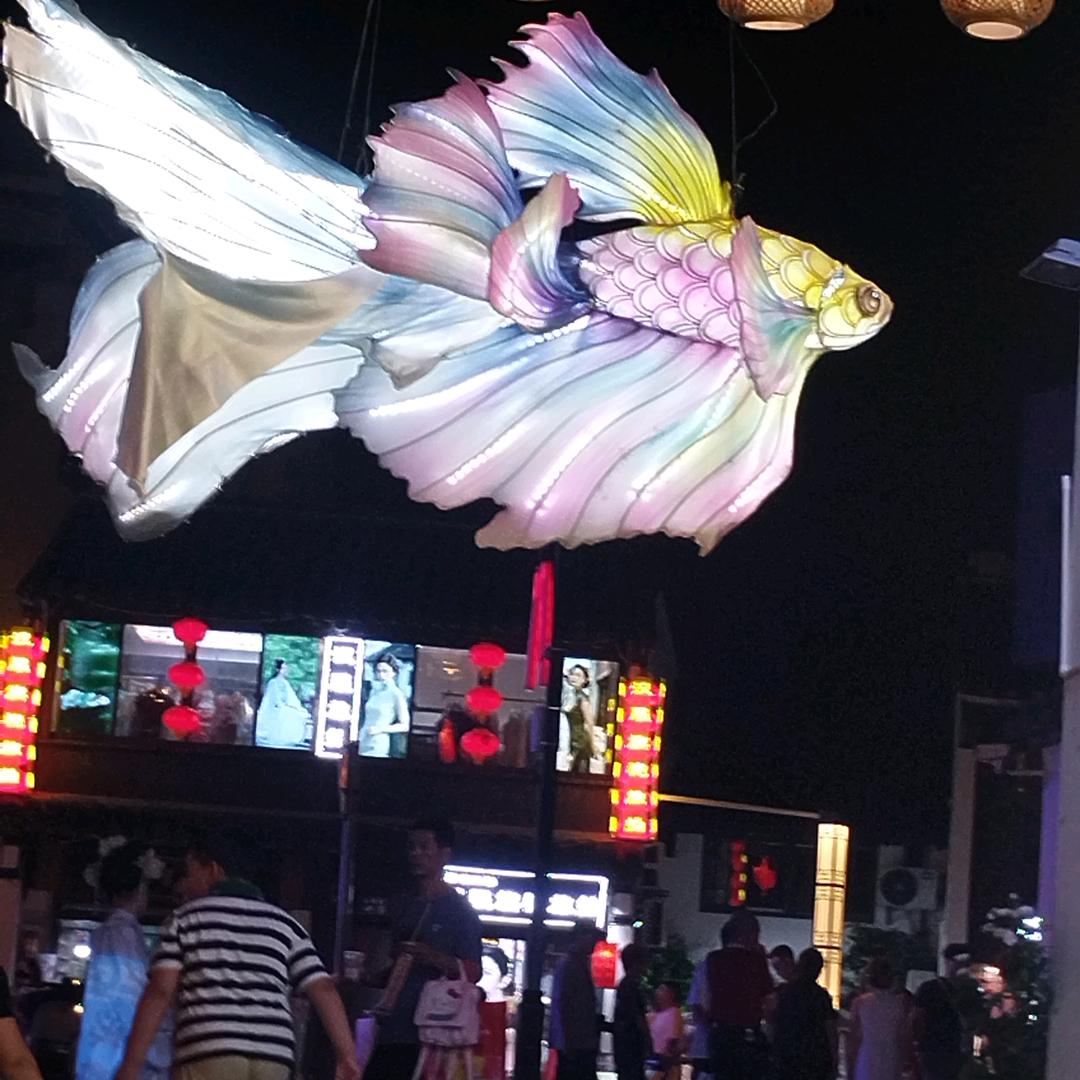 书萍