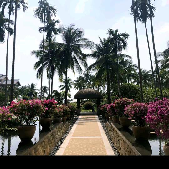 ℋღ风᭄雨🍒᭄浪💞子࿐🍁🎋