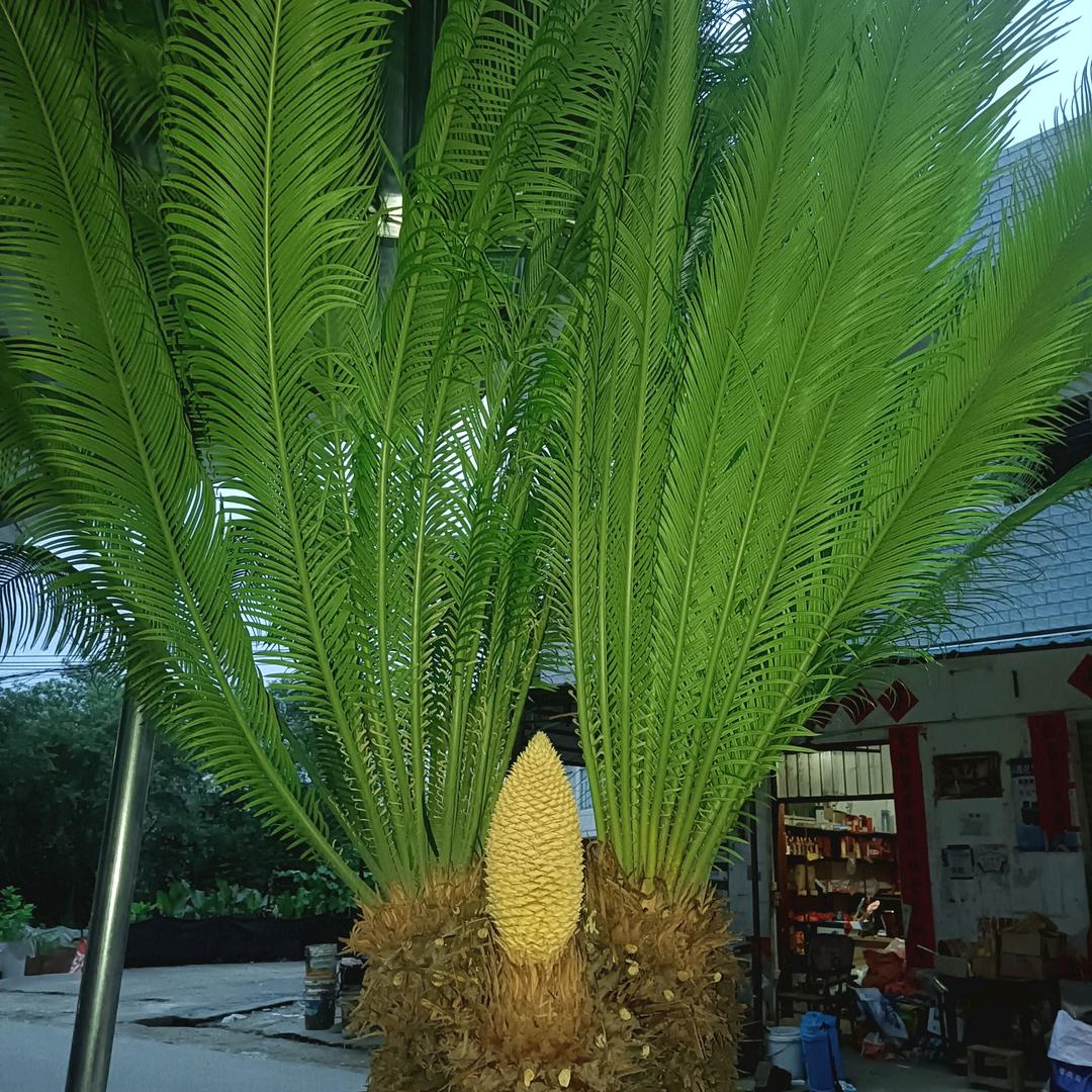回忆不谈