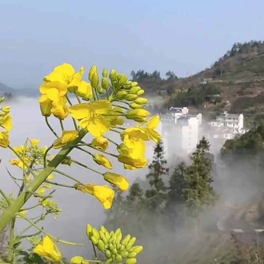 秋风细雨