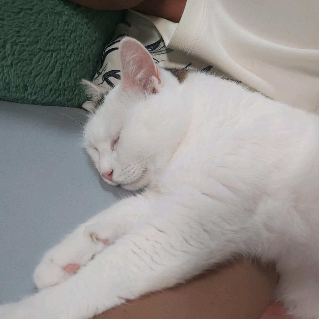 岁月蹉跎我不会变