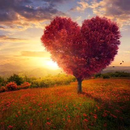 ღ᭄ꫛ꧔ꦿ᭄💞࿐ᩚ