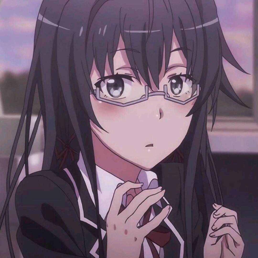 雪之下二小姐家的猫