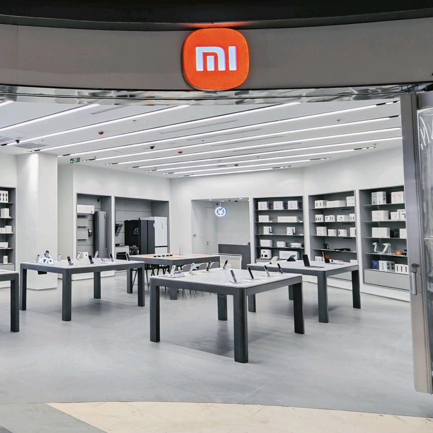 小米之家(远大购物广场专卖店)