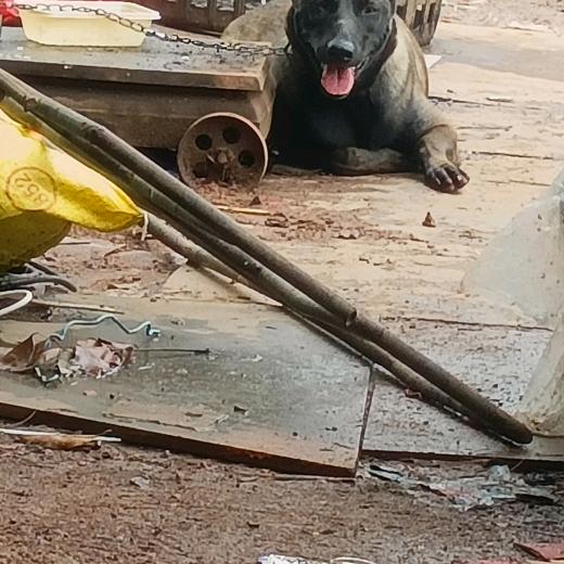 荣塘（百善孝为先。