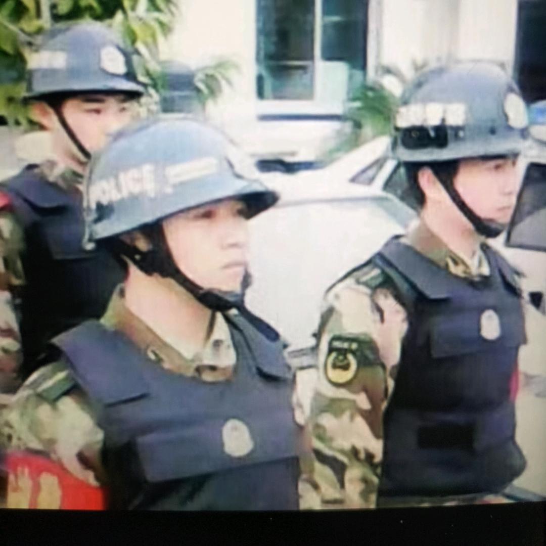 你若不离我定不弃