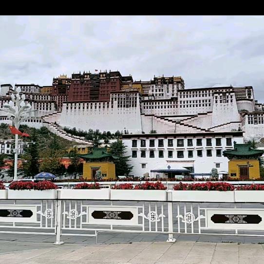 有钱男子汉🙏🙏无钱汉子难🙏🙏