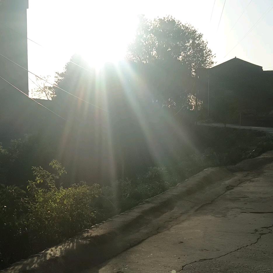 意难平…………