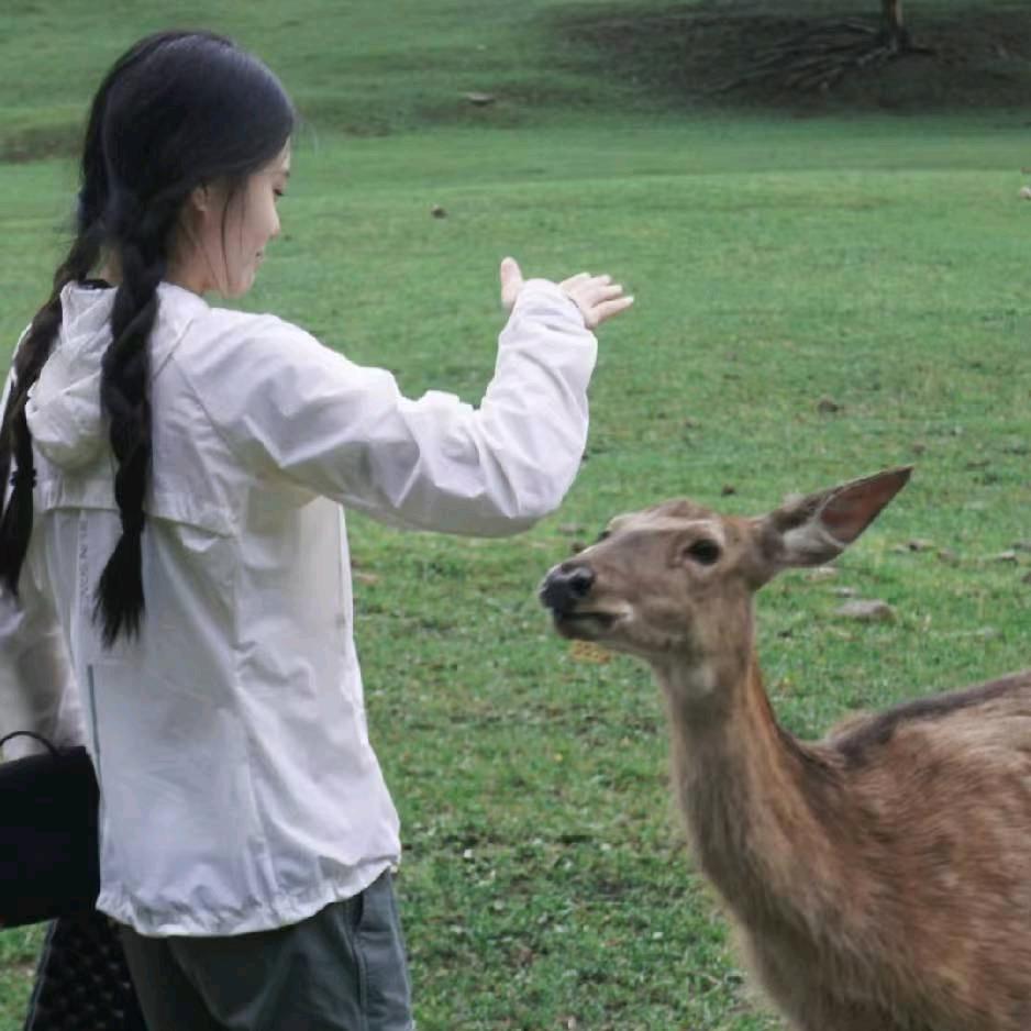 东汇达教育 小麋鹿
