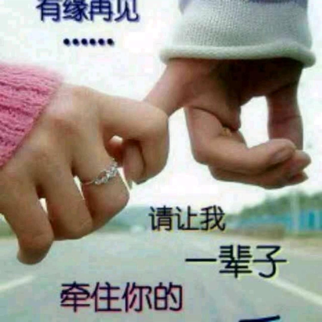 爱你无怨无悔