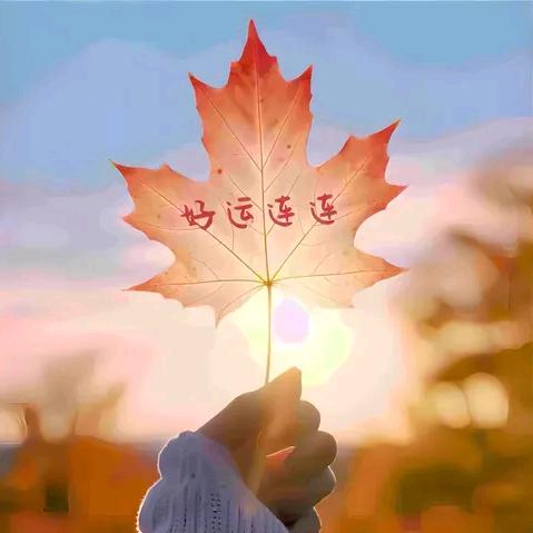 心想事橙