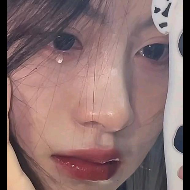 唔西迪西杂交