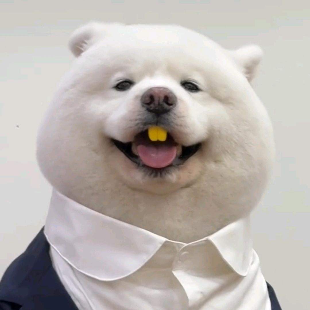 思瓜