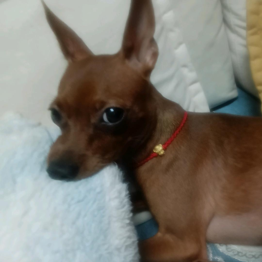 不念过往