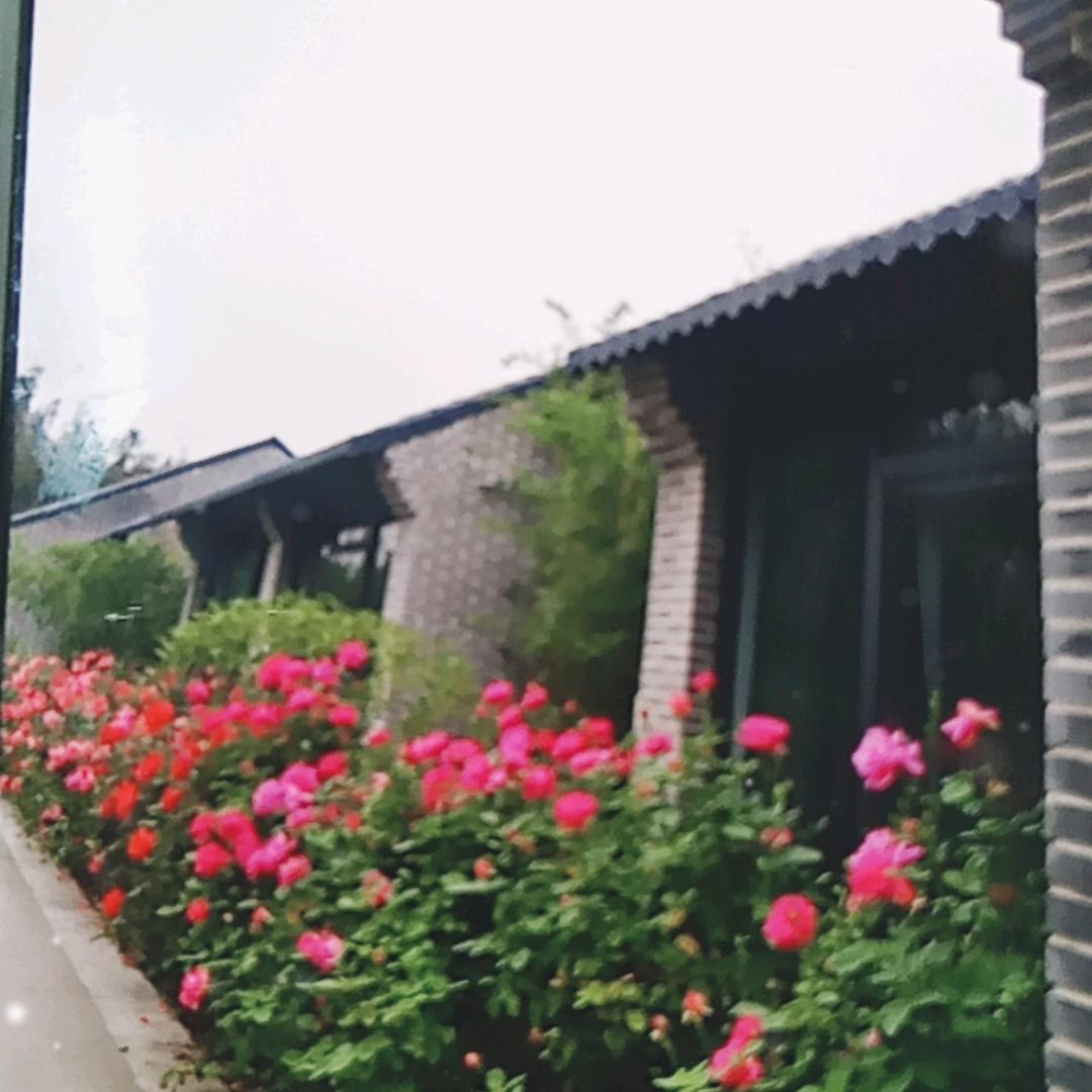 保定旅行家