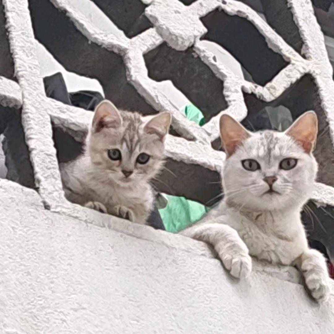 😊回忆😊