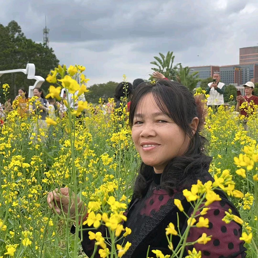 雨后彩虹缪