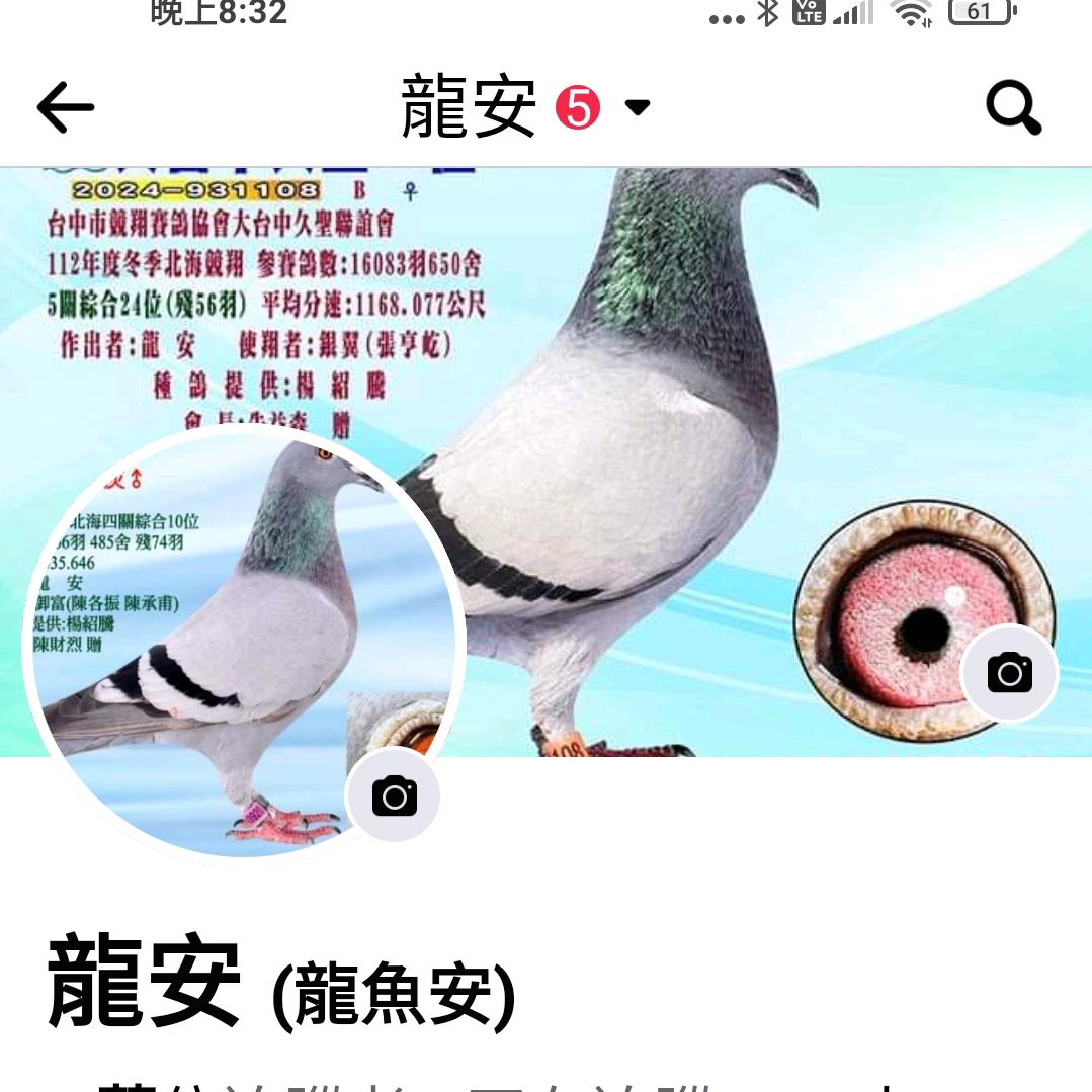 台灣龍安鴿業