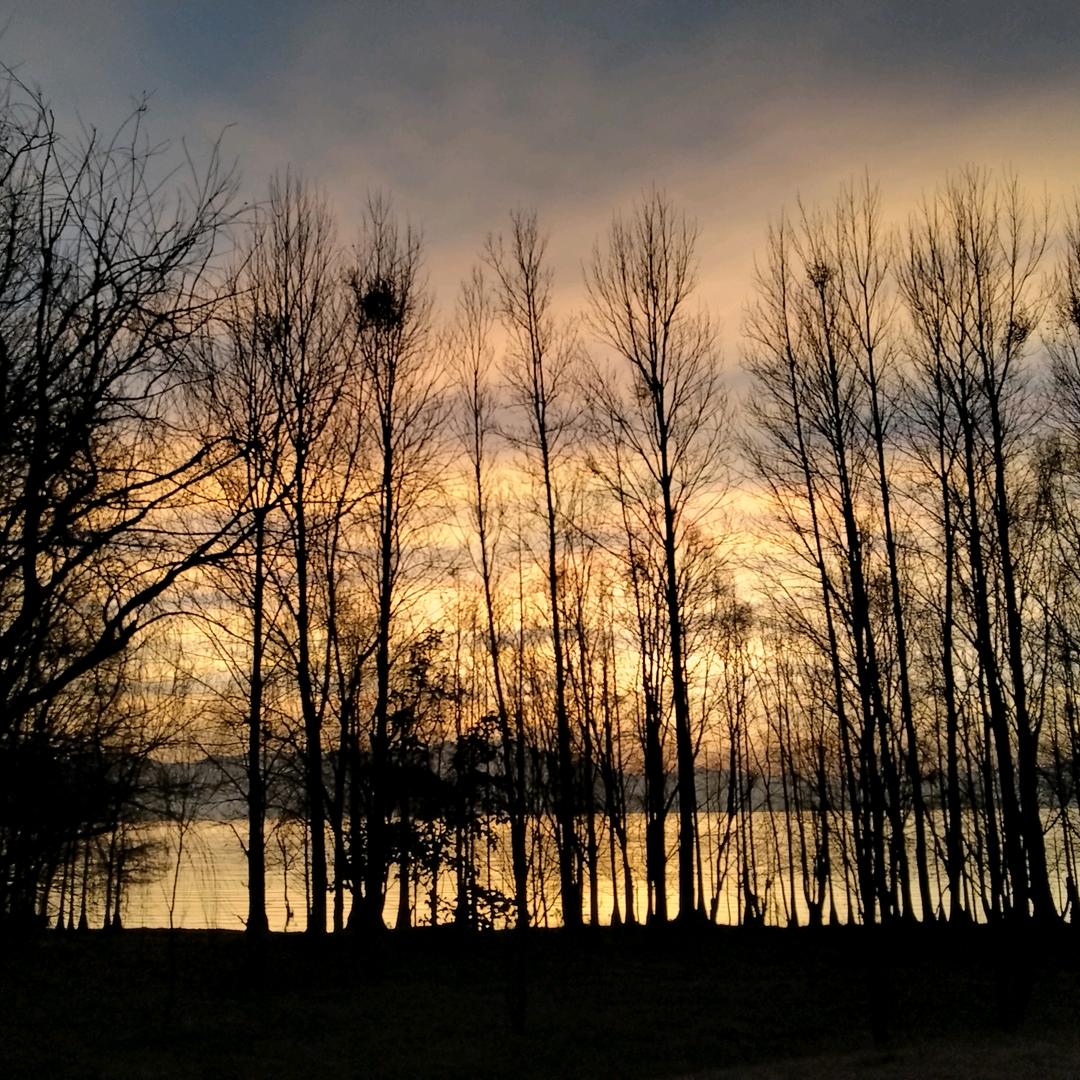 红红火火恍恍惚惚