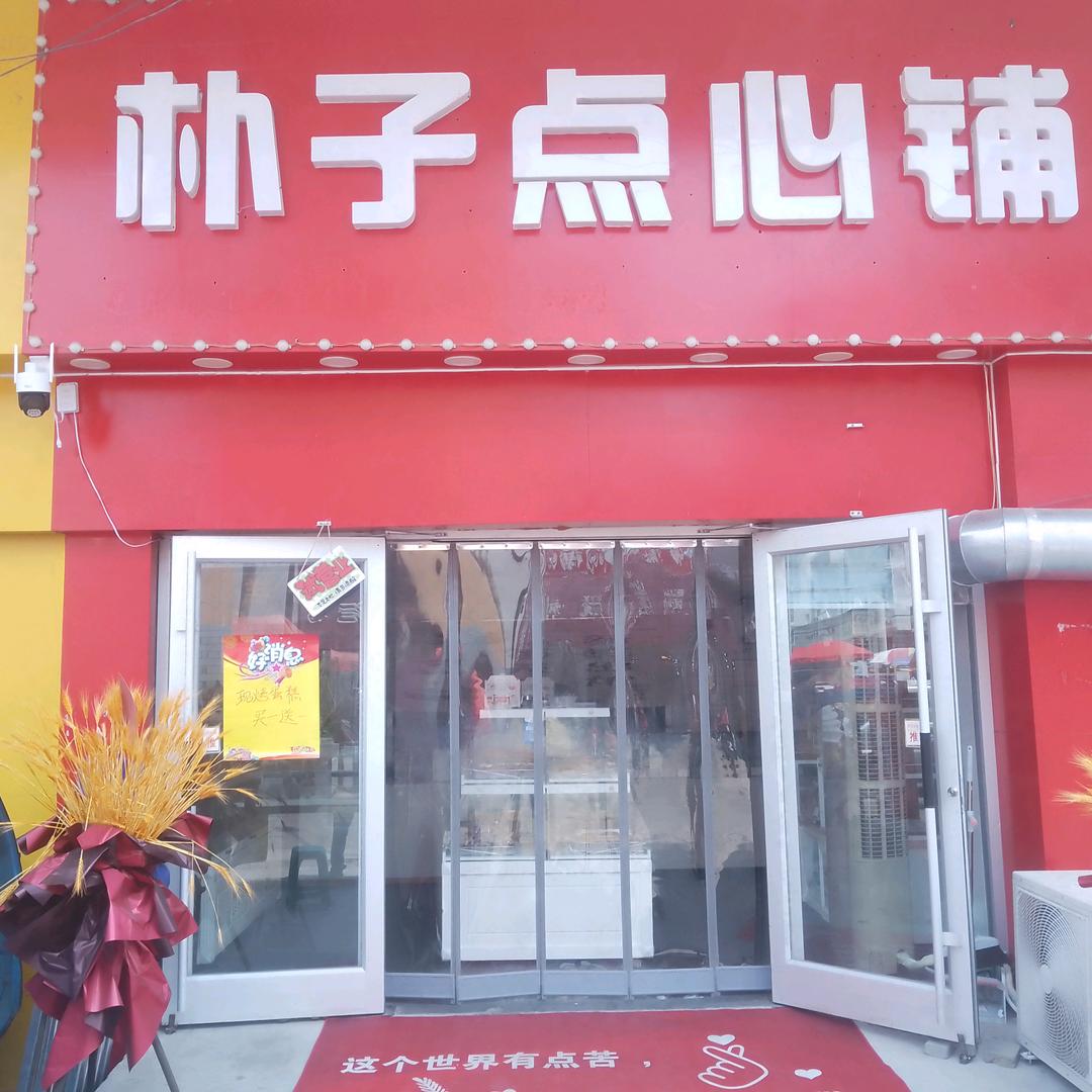 朴子点心铺（供销大厦西雅迪电动车对）