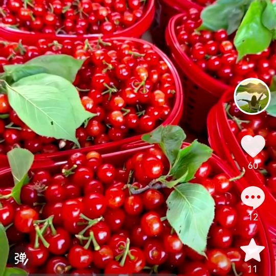 80年单身？小徐