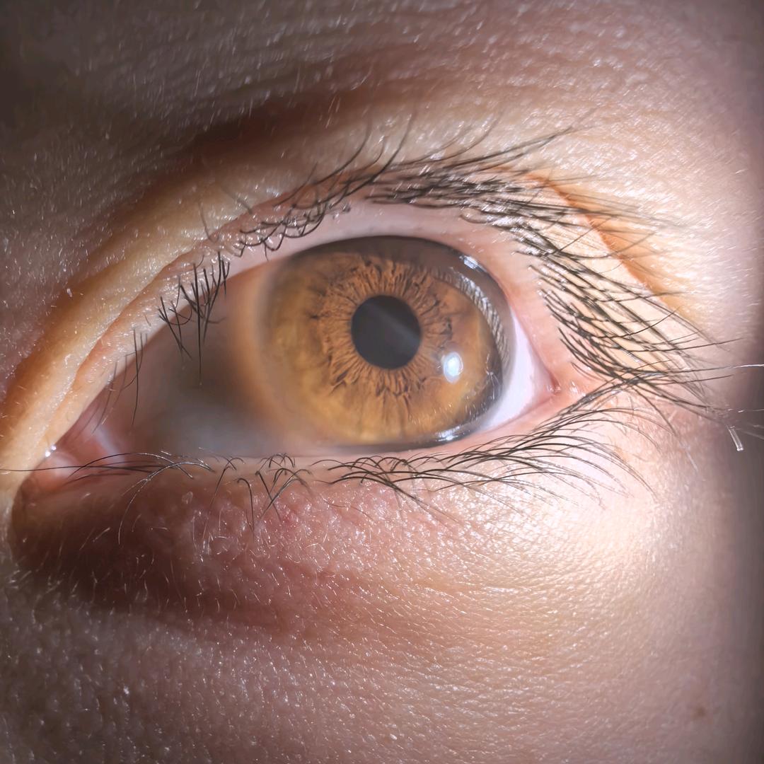 琴叶（三角洲行动）