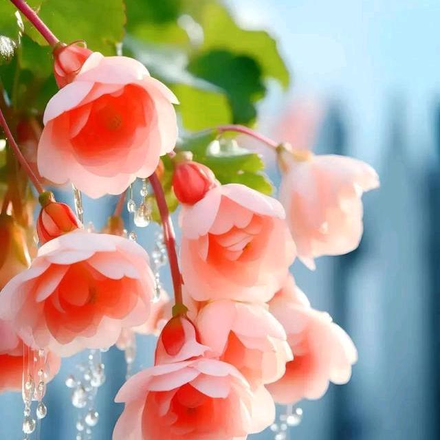 🎂财运🍇暴涨🍊🍓