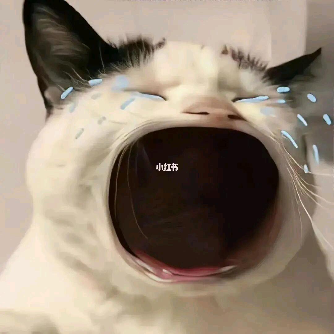 用户93881944364