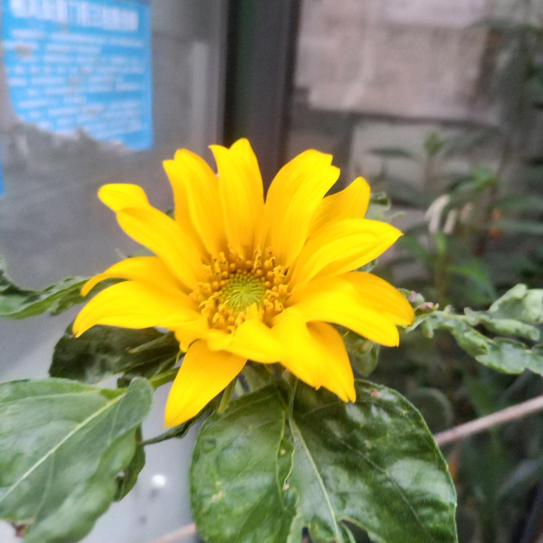 🤑😀金昌食品，努力生活，冷就嗨起来。