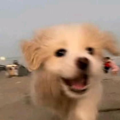 露露妹吖💞