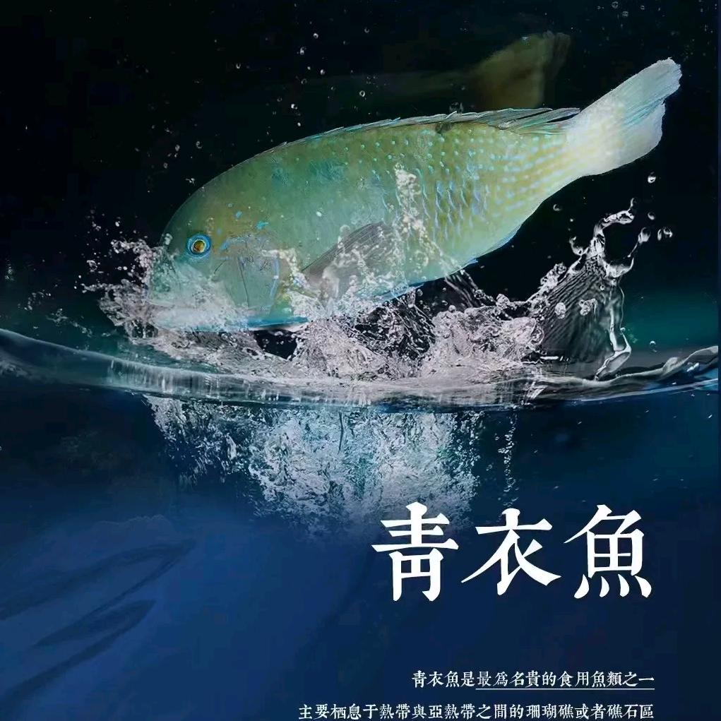 牛马搬运工🦐🐟🦀