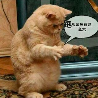 荣耀只属于华为