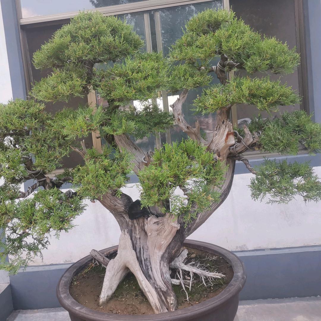 小二哥