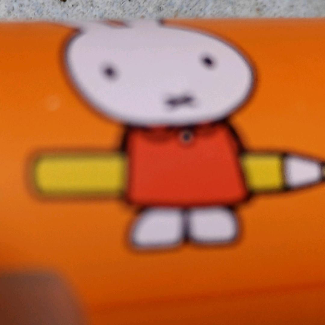独宠
