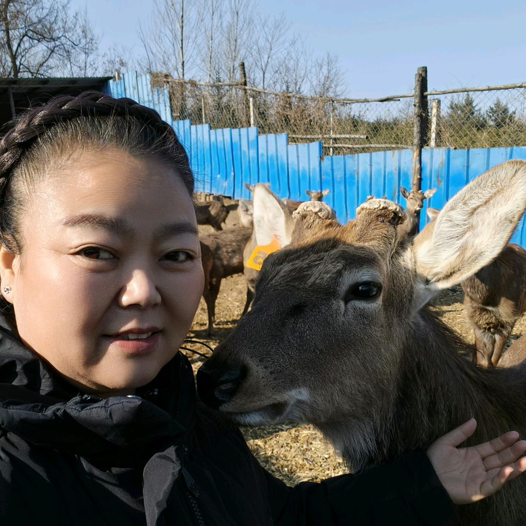 东北胖姐参耸店