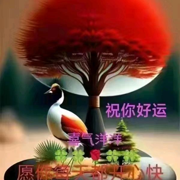 小黄王