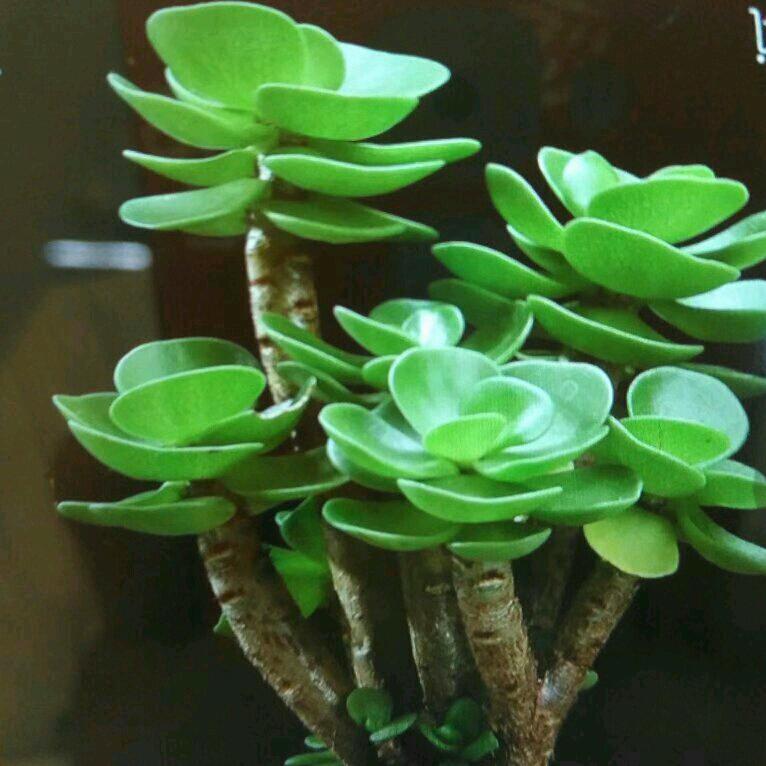 随遇而安