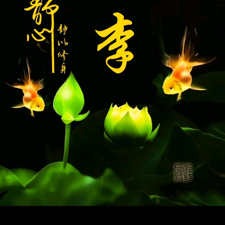 吉美娃
