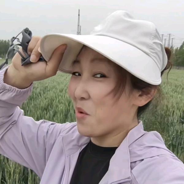 常会会