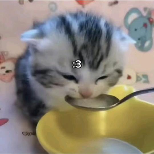 真理