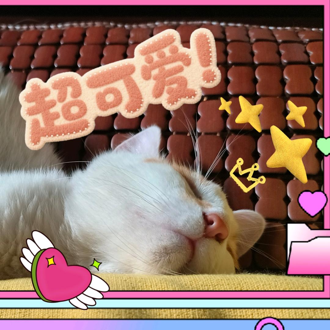 招财小猫喵咪咪