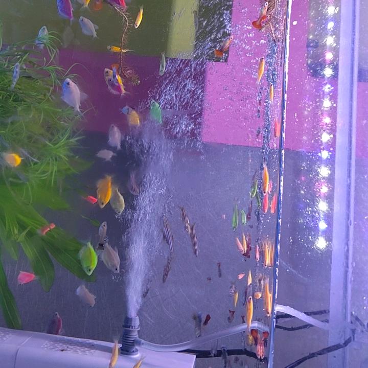 木森我要中手机
