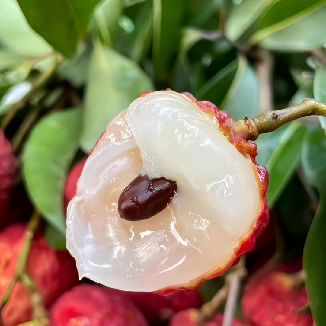 九禧鲜果
