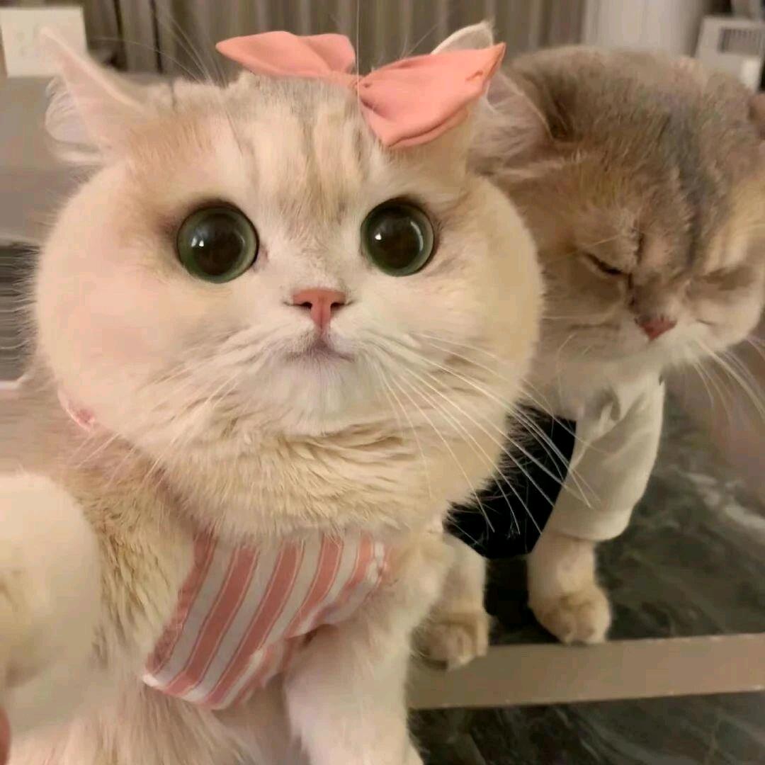 🍒