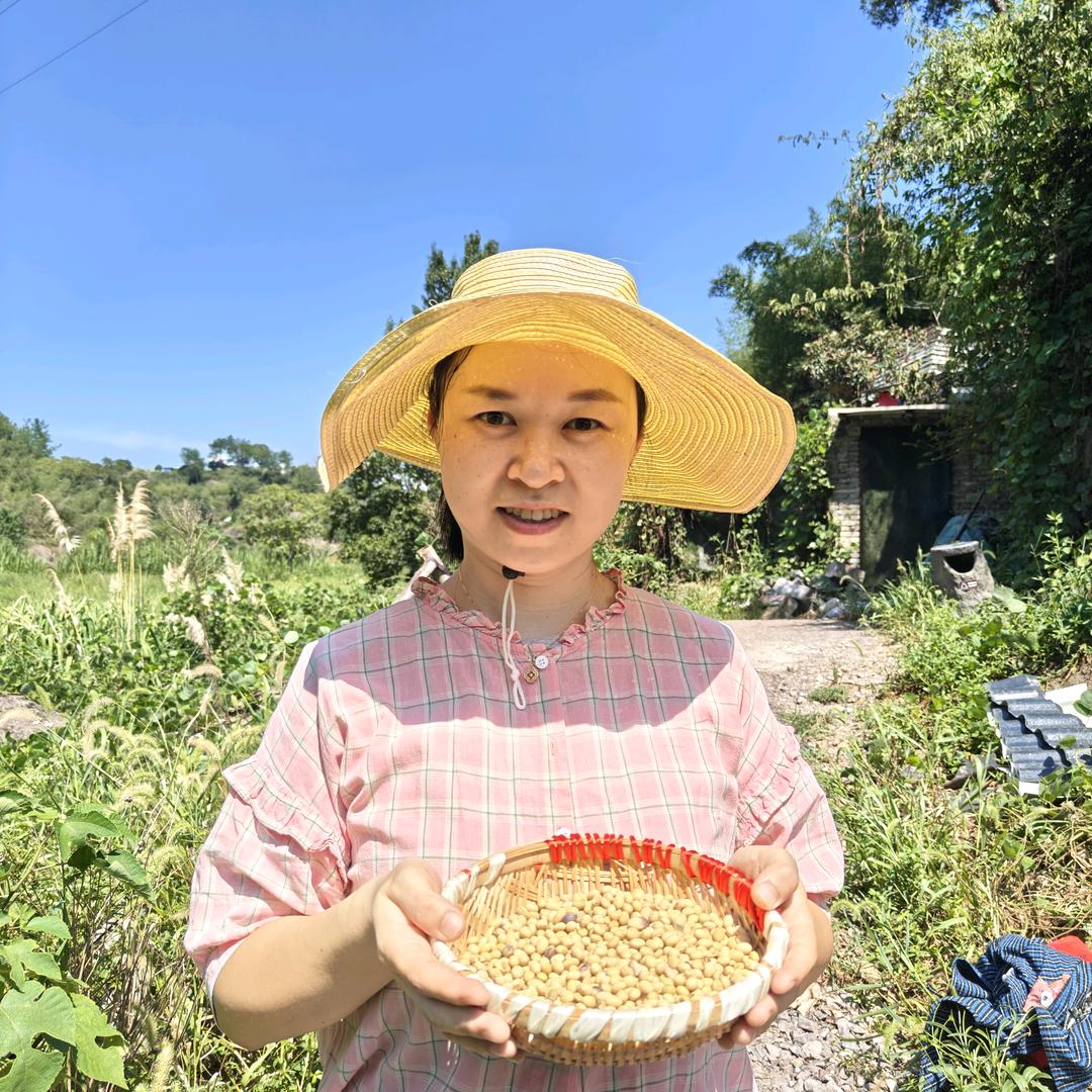 卖土黄豆的小丽