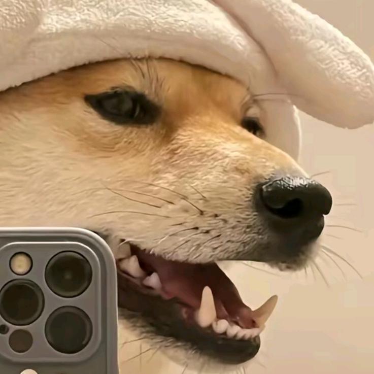 独行～