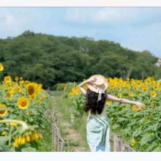 Enjoy Solitude 比萨斜塔︸