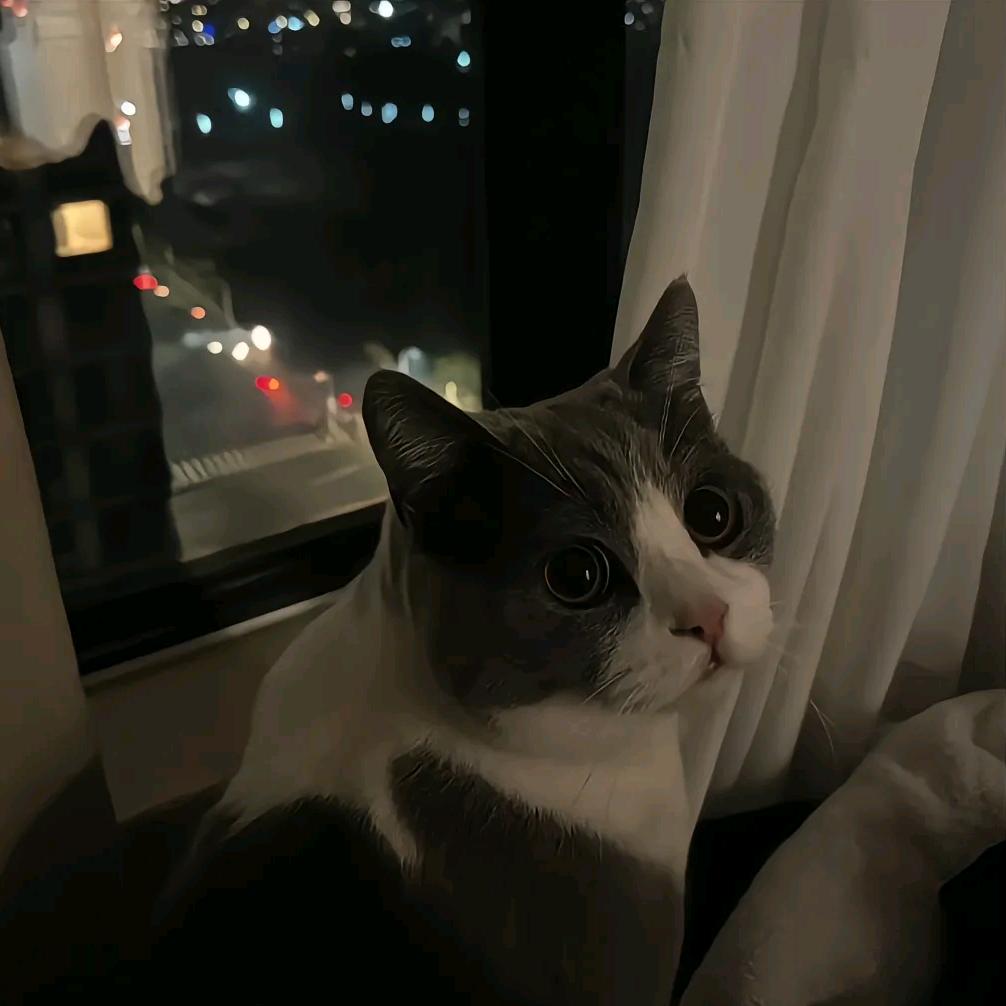 路易吉